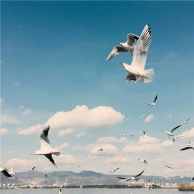 球探app下载截图